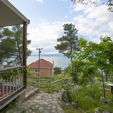 Among The Trees Villa Shiroka Luaran gambar