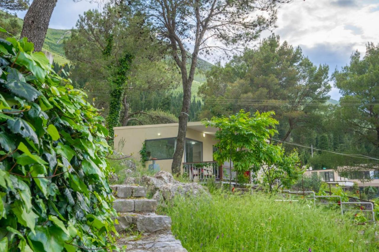 Among The Trees Villa Shiroka Luaran gambar